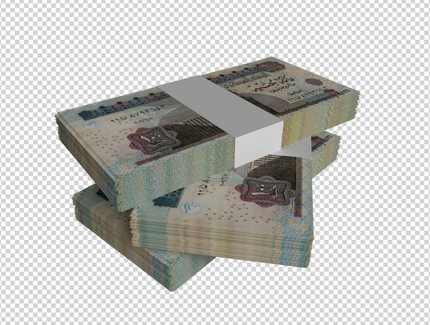 PSD paquetes de dinero de egipto 100 libras