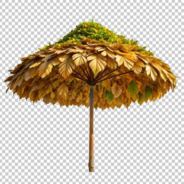 PSD parapluie de plage avec feuille