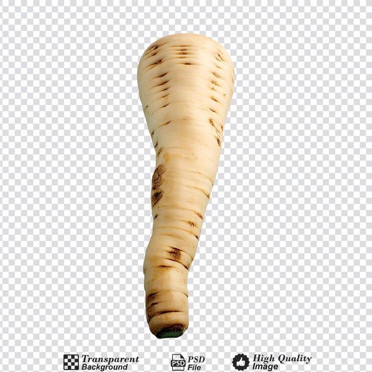 PSD parsnip aislado sobre un fondo transparente