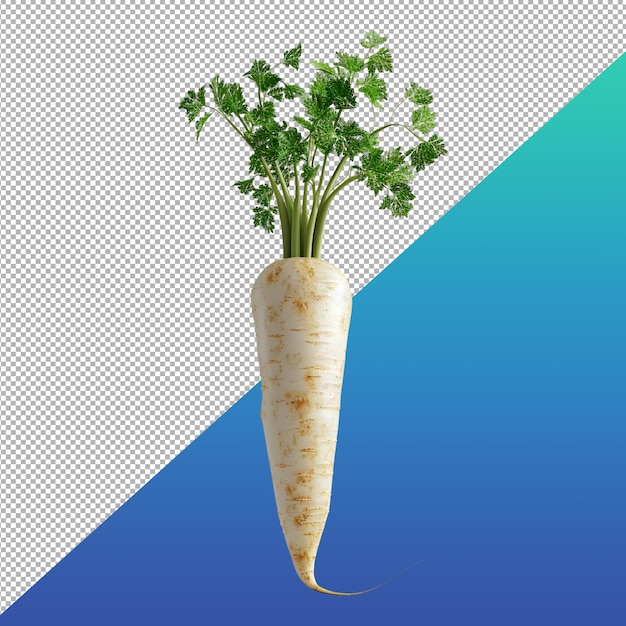 Parsnip png