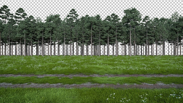 Paseo realista por prados y senderos con línea de árboles forestales renderización 3D de objetos aislados