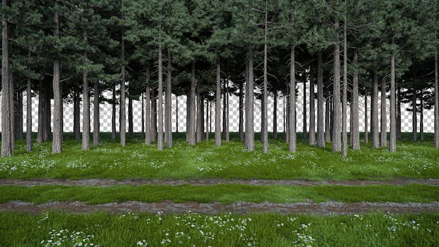 Paseo realista por prados y senderos con línea de árboles forestales renderización 3D de objetos aislados