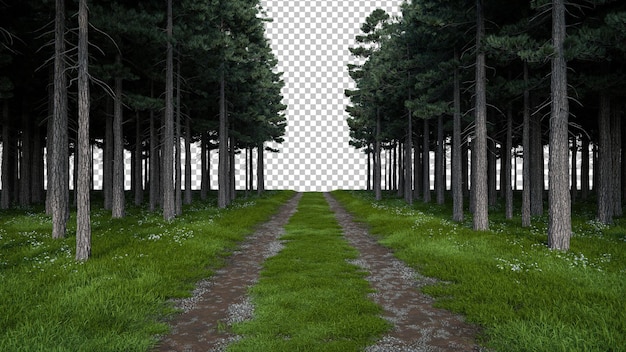 Paseo realista por prados y senderos con línea de árboles forestales renderización 3D de objetos aislados