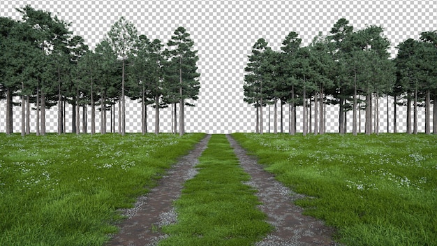 Paseo realista por prados y senderos con línea de árboles forestales renderización 3D de objetos aislados