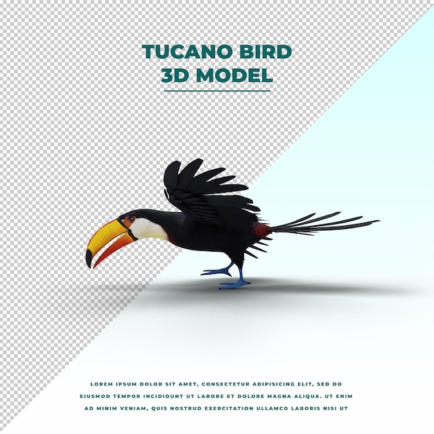 Pássaro tucano isolado