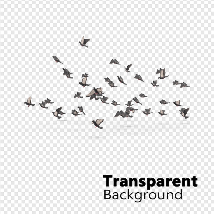 PSD pássaros em fundo transparente