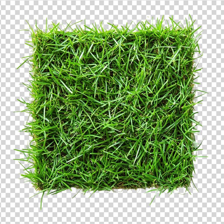 PSD patch de hierba de césped verde fresco aislado en fondo blanco