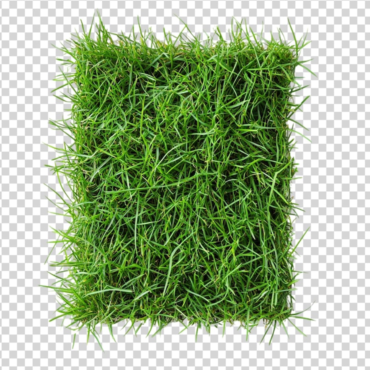 PSD patch de hierba de césped verde fresco aislado en fondo blanco