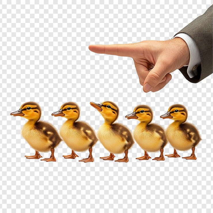 PSD patitos en una fila