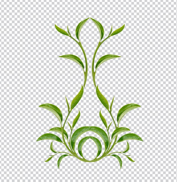 Patrón de arte hojas de té verde sobre fondo blanco.