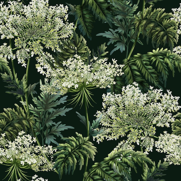 Patrón sin costuras con Daucus carota en un fondo oscuro Impresión de plantas medicinales Papel tapiz
