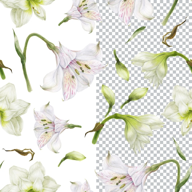 Patrón sin fisuras de lirio blanco y flores de alstroemeria. Composición romántica para bodas y San Valentín. Ilustración acuarela floral para textiles, saludos e invitaciones.