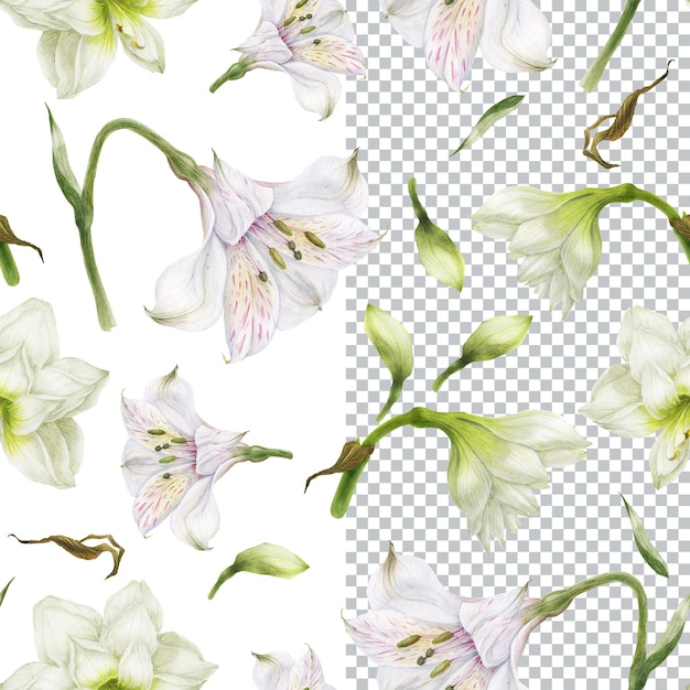 Patrón sin fisuras de lirio blanco y flores de alstroemeria. composición romántica para bodas y san valentín. ilustración acuarela floral para textiles, saludos e invitaciones.