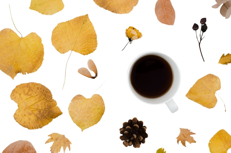 PSD el patrón de follaje de otoño vista superior