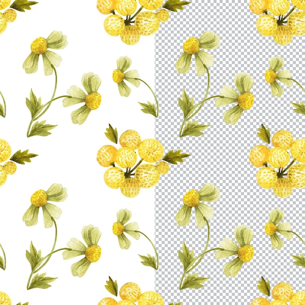 PSD patrón transparente floral amarillo ramos de plantas silvestres en estilo cabaña acuarela botánica