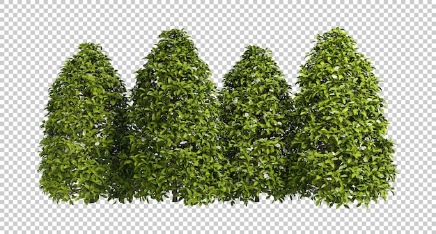 Paysage D'arbres Arbustes Alignés Découpé Rendu 3d