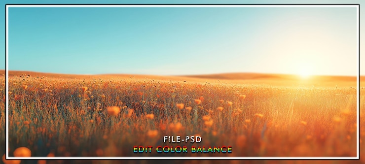 PSD le paysage des fleurs d'orange au coucher du soleil