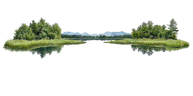 Un paysage naturel paisible avec de la verdure et le reflet de l'eau isolé sur un fond blanc