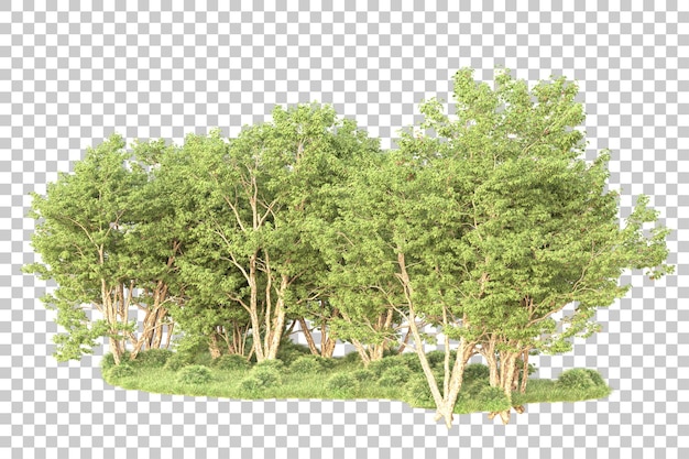 Paysage vert isolé sur fond transparent illustration du rendu 3d