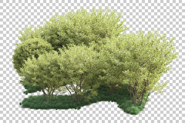 PSD paysage vert isolé sur fond transparent illustration de rendu 3d