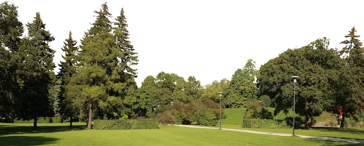 PSD paysages naturels d'arbres et de parcs avec des prairies ouvertes et des vues rurales