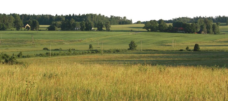 PSD paysages naturels d'arbres et de parcs avec des prairies ouvertes et des vues rurales