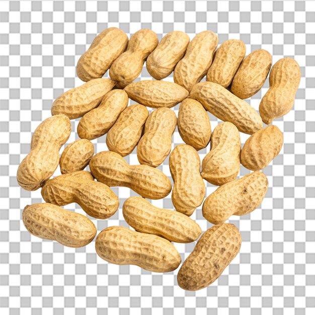 Peanuts Set isolated on transparent background
