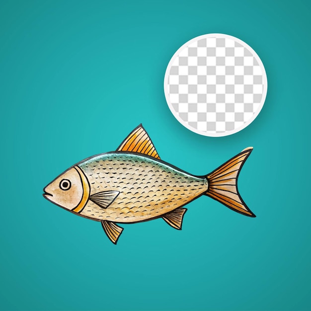 PSD peces de colores con fondo blanco