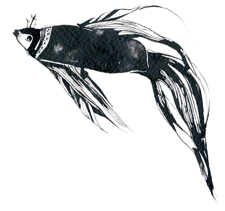 PSD peces gráficos con líneas claras y formas geométricas que crean un aspecto moderno y elegante