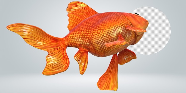 Peces de oro aislados sobre un fondo transparente