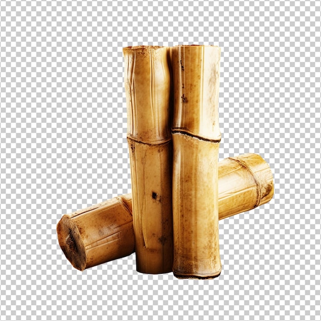 Pedaço de tronco de bambu png