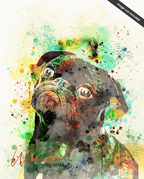 PSD une peinture à l'aquarelle d'un chien carlin avec les mots tourbillon sur le devant.