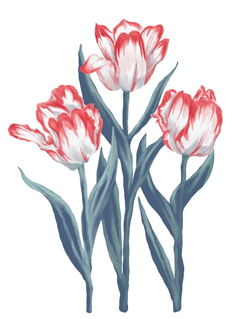 PSD peinture de tulipes à perroquet rouges