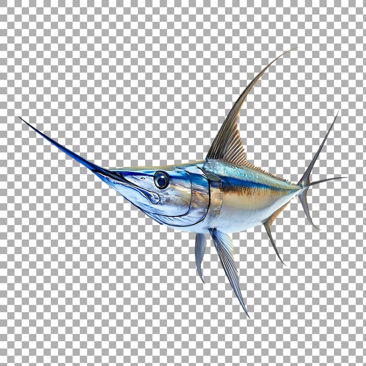 PSD peixe-espada marlin da png isolado contra um fundo transparente para fotografia de vida marinha cozinha de frutos do mar ou projetos educacionais