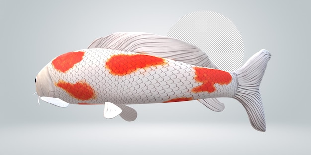 Peixe koi carp isolado em um fundo transparente