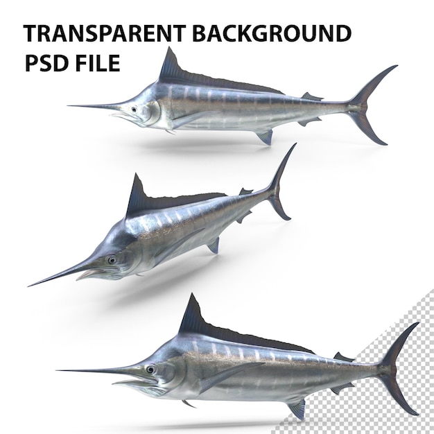 Peixe marlin listrado png