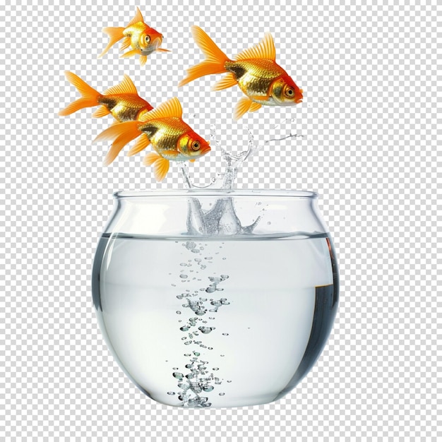 PSD peixes isolados sobre um fundo transparente