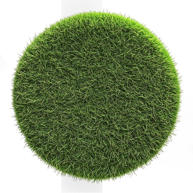 una pelota redonda con un círculo de hierba verde