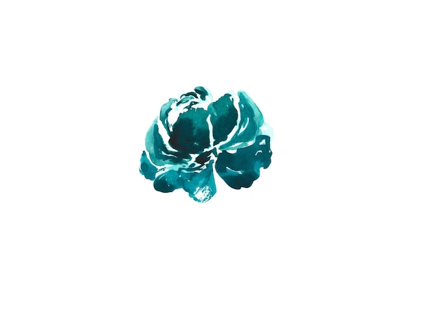 PSD peonie bleu foncé peinte à l'aquarelle