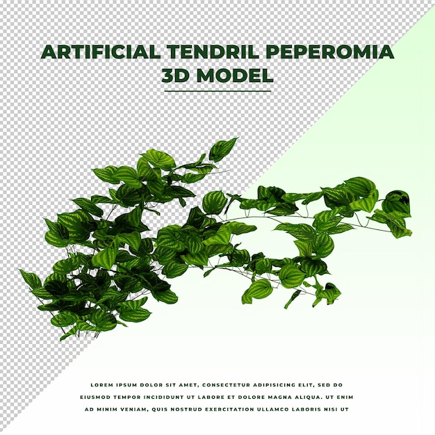 Peperomia de gavinhas artificiais