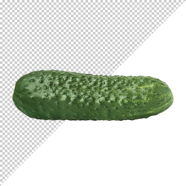 Pepino verde em um fundo transparente