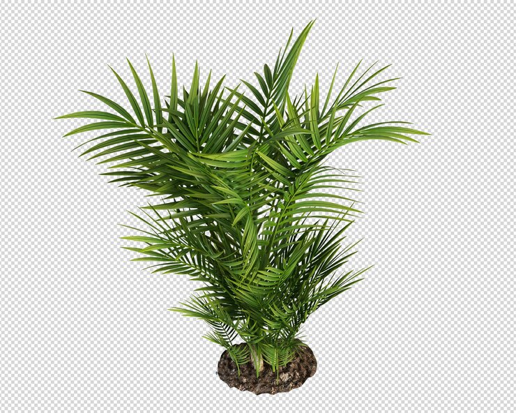 Una pequeña palmera con una pequeña maceta de hojas de palma.