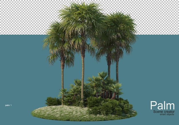 PSD pequeña plantación de palmeras