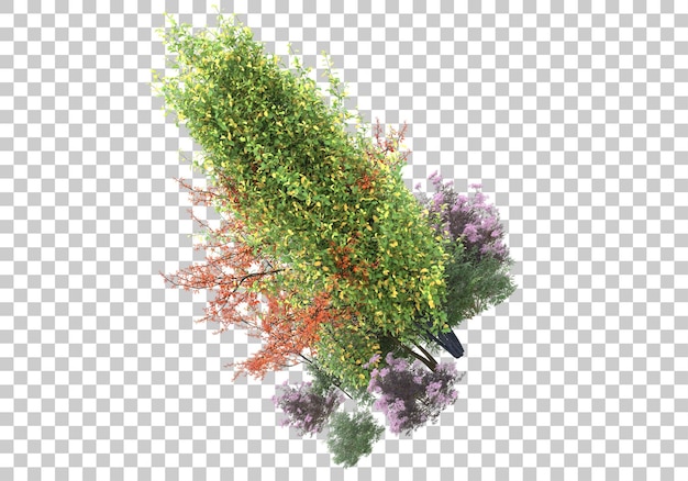 Pequenas árvores na ilustração de renderização 3d de fundo transparente