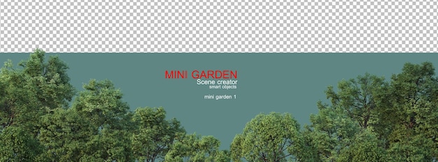 Pequeno jardim com muitas plantas