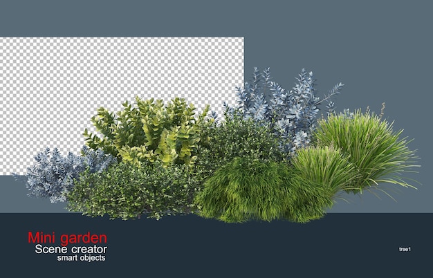pequeno jardim de arbustos