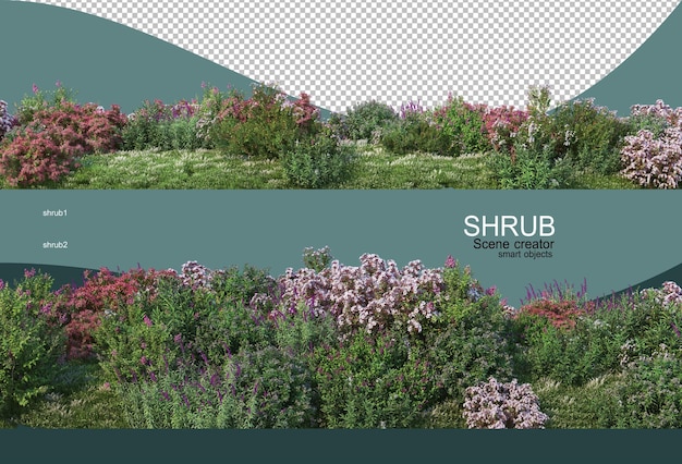 Pequeno jardim de flores lindo