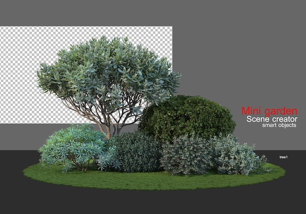 Un pequeño jardín con una gran variedad de árboles.