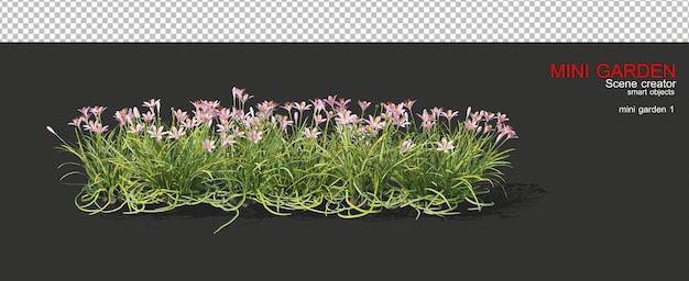 Un pequeño jardín con muchas plantas.