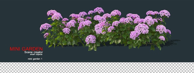 Pequeño jardín con muchos tipos de flores.